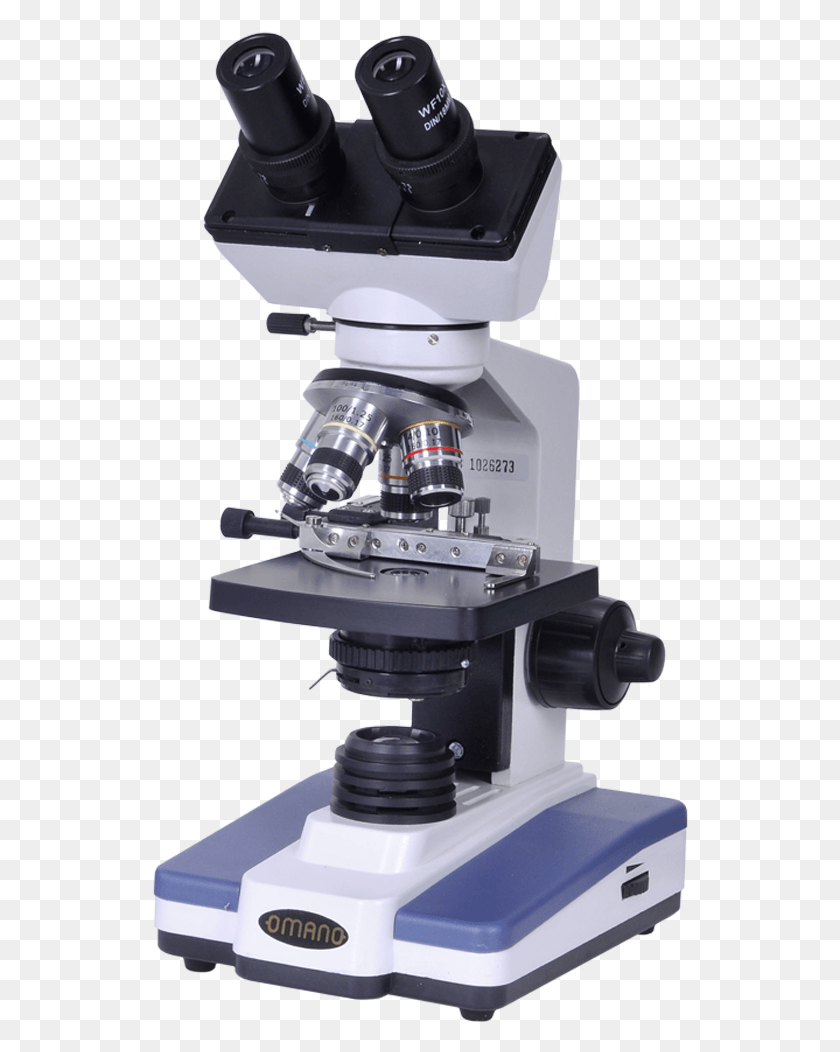 536x992 Png Микроскоп