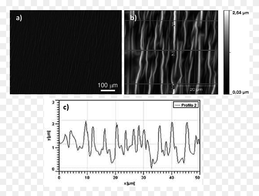 778x576 Descargar Png Caracterización Microscópica De Nano Arrugas Por Medios Monocromo, Parcela, Medidas, Diagrama Hd Png