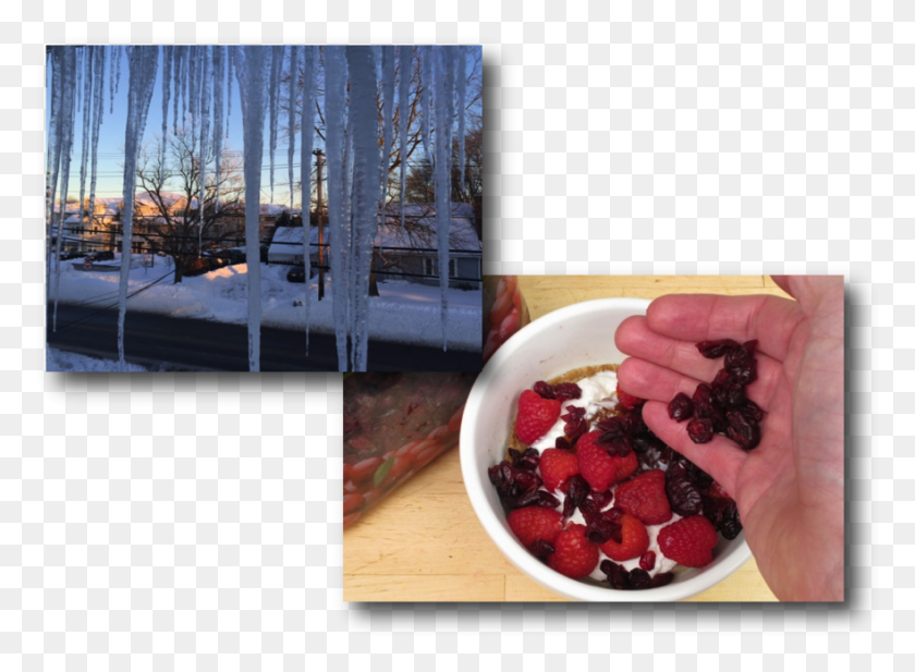881x630 Microwave Power Cereal Icicles Frutti Di Bosco, Plant, Ice, Outdoors HD PNG Download