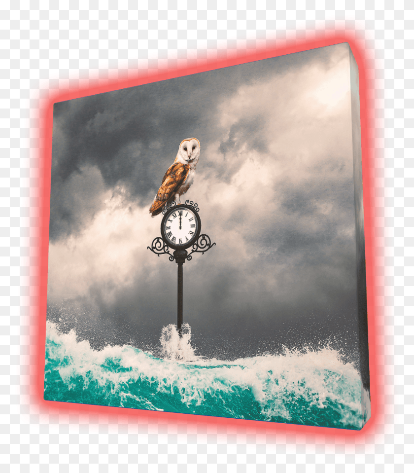 857x988 Midnight Owl, Bird, Animal, Clock Tower HD PNG Download