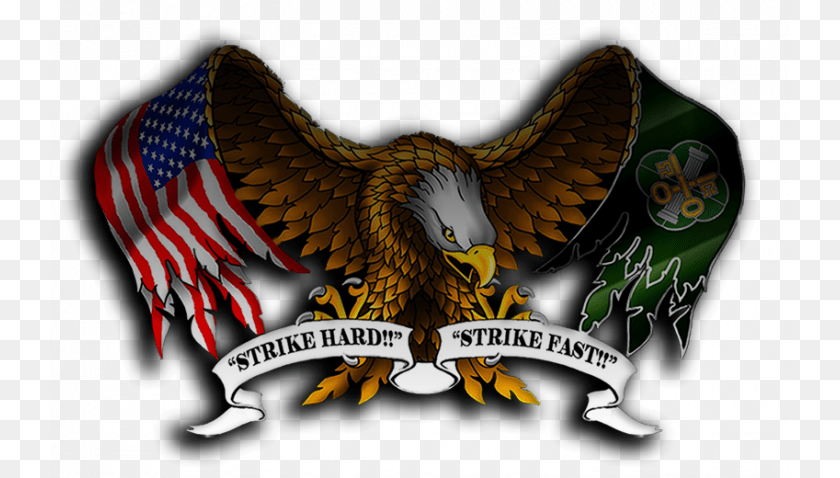 740x478 Military Eagle American Flag Pow Mia, Animal, Bird, Person PNG
