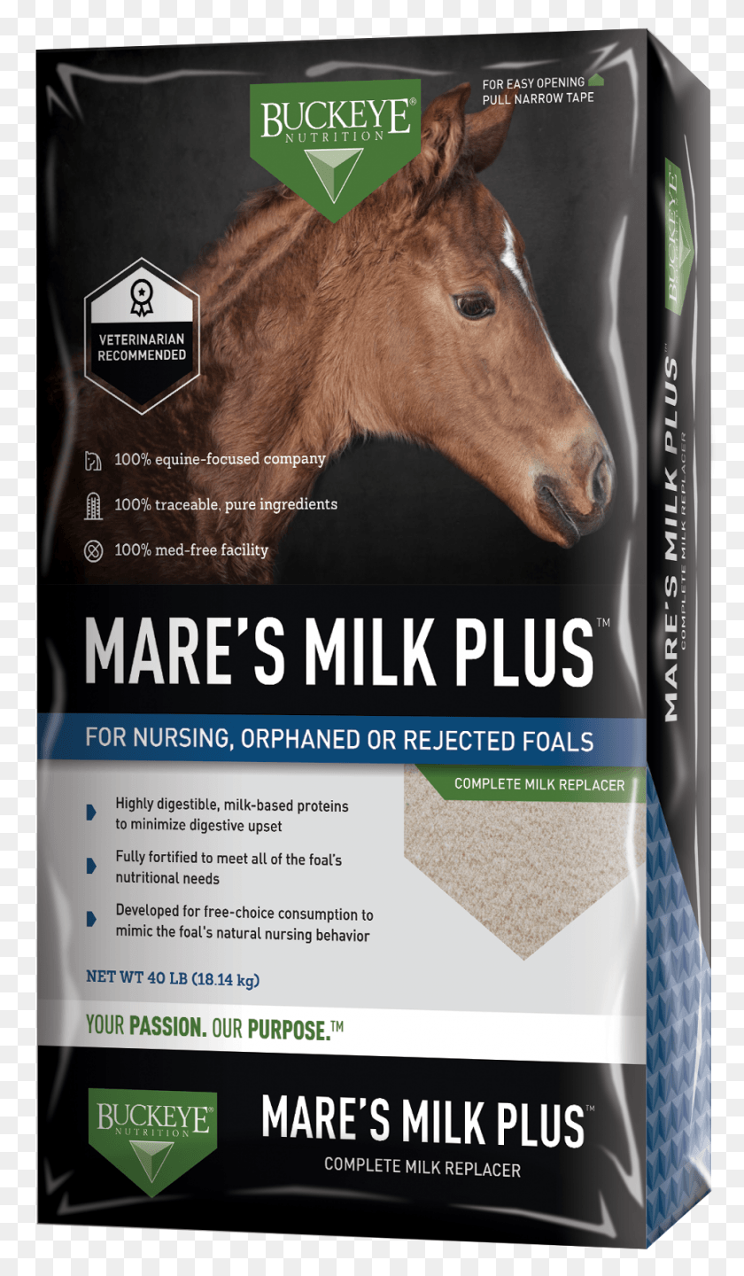 958x1696 Заменитель Сухого Молока Milk Plus Buckeye Nutrition Mares Milk Plus, Плакат, Реклама, Флаер Hd Png Скачать