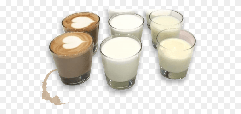 551x339 Milk Tasting Raw Milk, Beverage, Drink, Dairy HD PNG Download