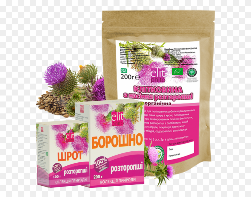 600x600 Milk Thistle Flour Silybum, Plant, Paper, Food HD PNG Download