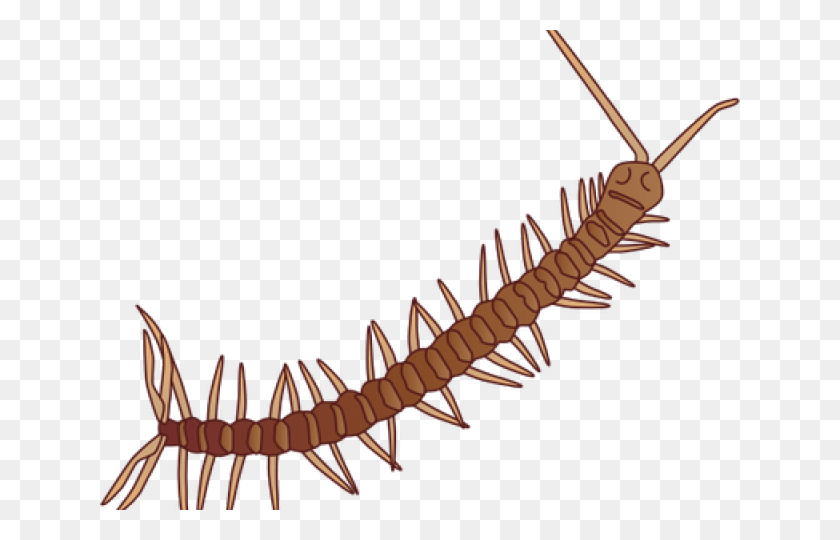 640x480 Millipede Clipart Milipede Millipedes, Mansion, House, Housing HD PNG Download