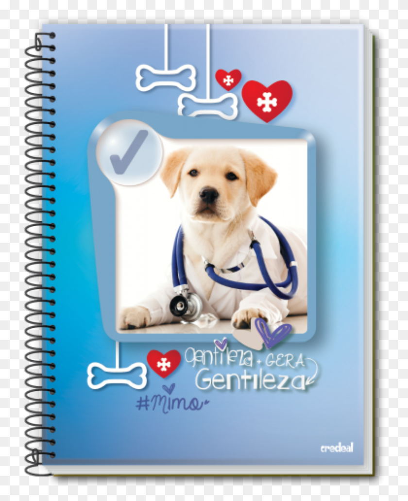 746x972 Mimo Azul Pet Medical Care, Собака, Собак, Животное Hd Png Скачать