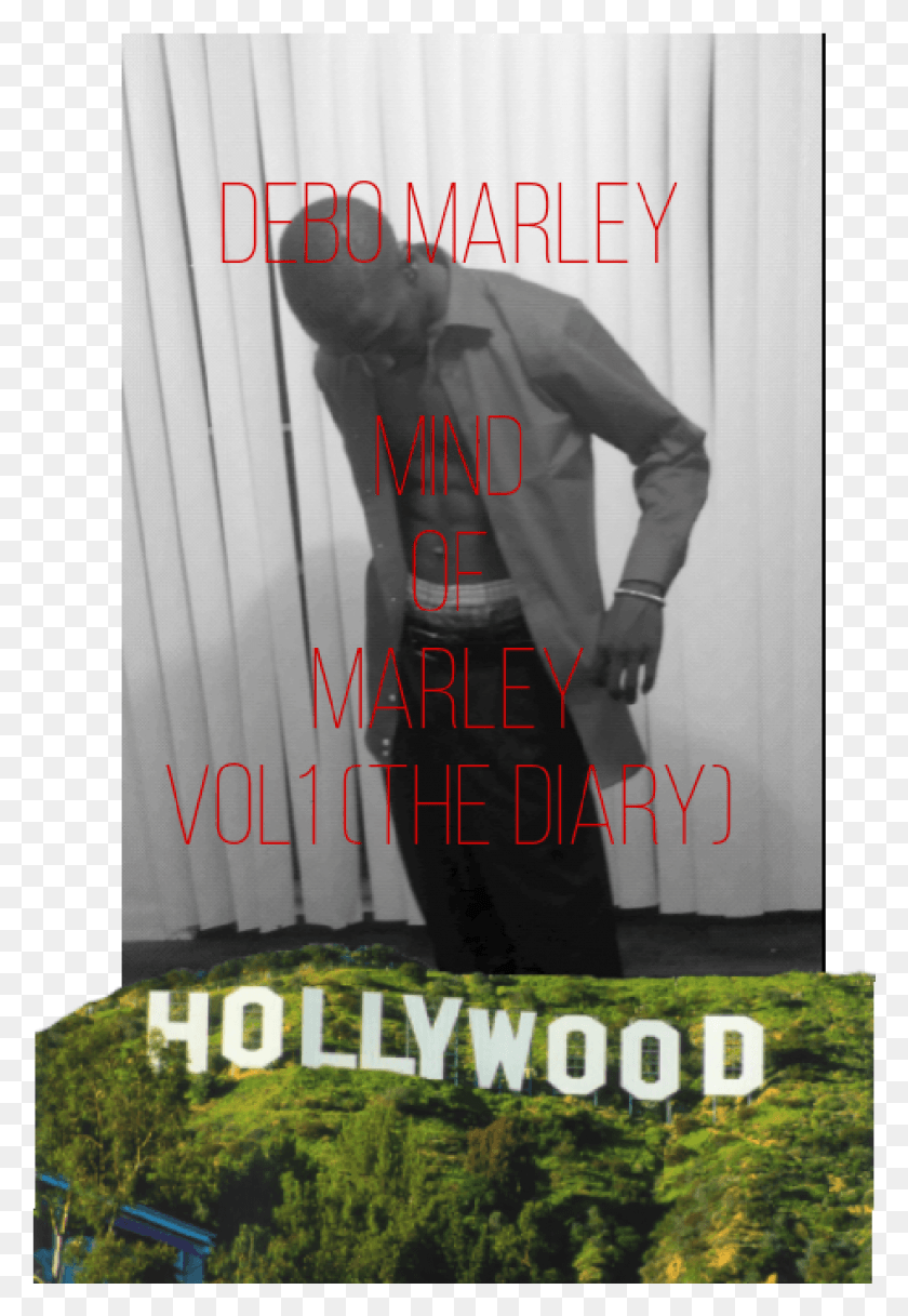 944x1401 Mindofmarley Hollywood Sign Amazing, Poster, Advertisement, Person HD PNG Download