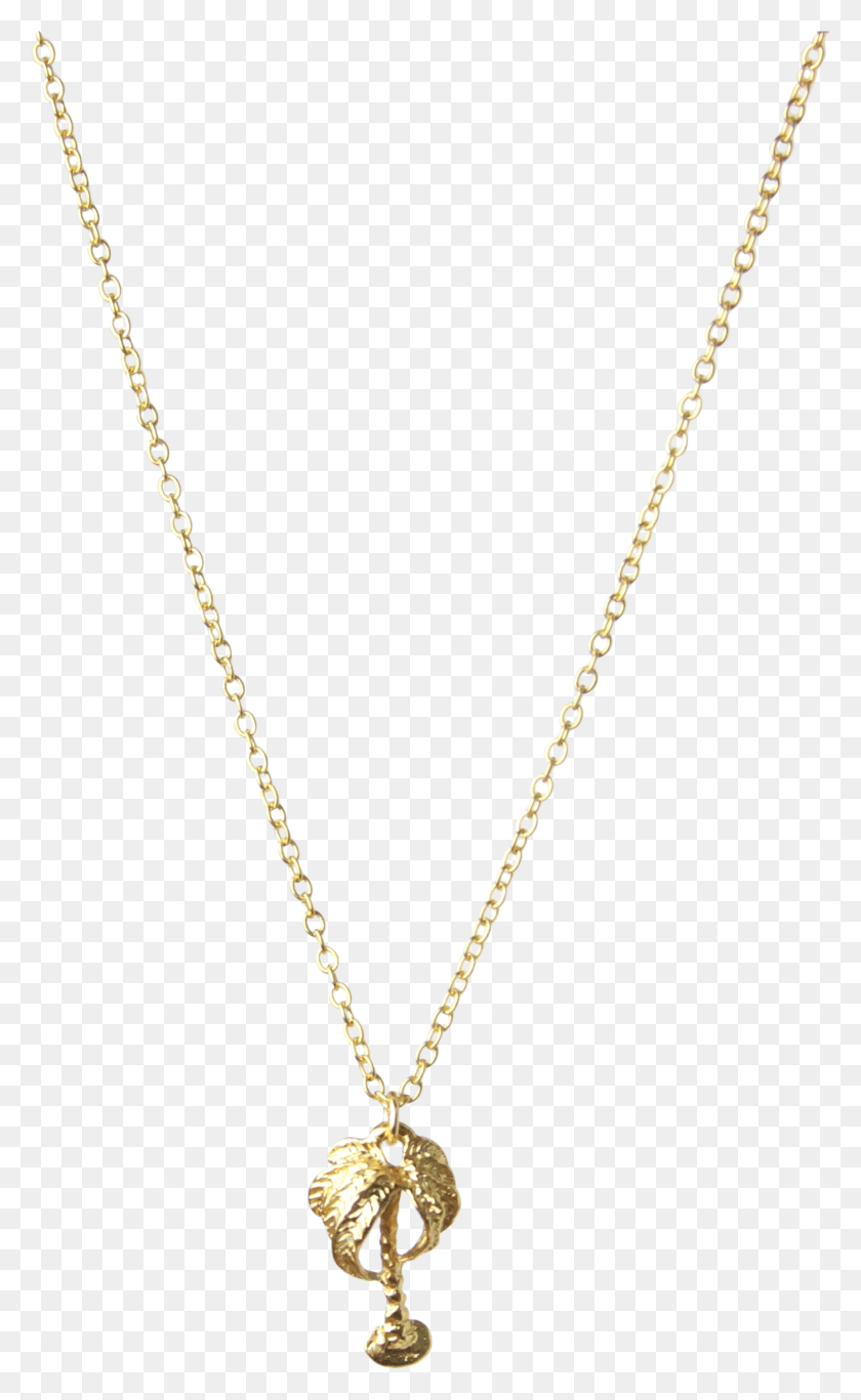 1607x2693 Mini Palm Tree Charm Necklace In Gold Vermeil, Jewelry, Accessories, Accessory HD PNG Download