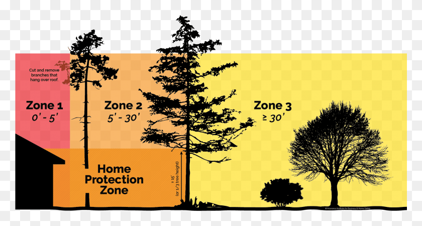 1764x884 Minimize The Threat Of Fire On Your Property By Reducing Vetores De Arvores, Tree, Plant, Fir HD PNG Download