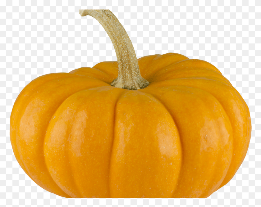 1389x1081 Minipumpkin 1557x1080 Pumpkin, Plant, Orange, Citrus Fruit HD PNG Download