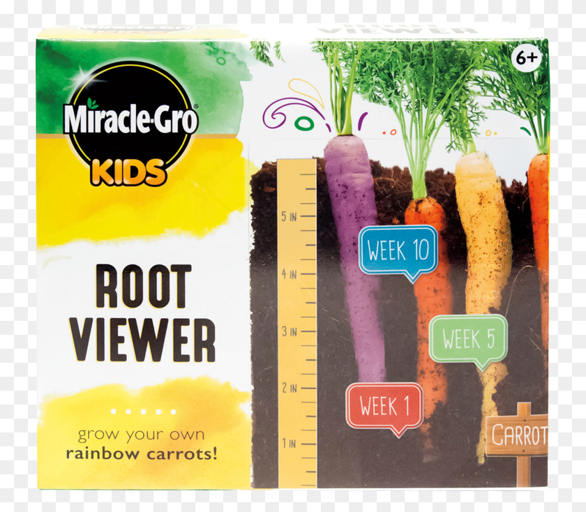 739x674 Miracle Gro Kids Watch It Grow, Plant, Food, Produce HD PNG Download