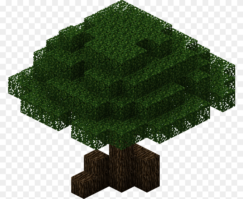 785x686 Mirk Oak Trees Grass Minecraft Oak Tree, Plant, Vegetation, Conifer, Land Transparent PNG