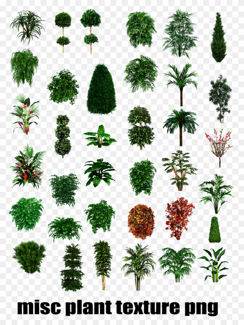 900x1221 Misc Clipart Bushes Trees And Plants Top View, Plant, Vase, Jar HD PNG Download