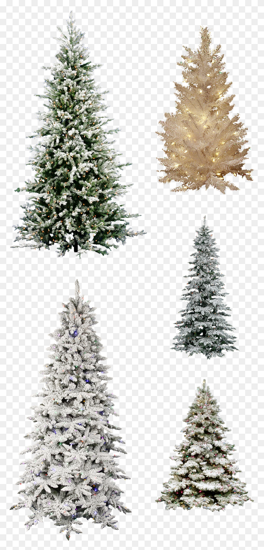 900x1950 Misc Frosted Christmas Tree Pngs By Dbszabo1 Frosted, Tree, Plant, Ornament HD PNG Download