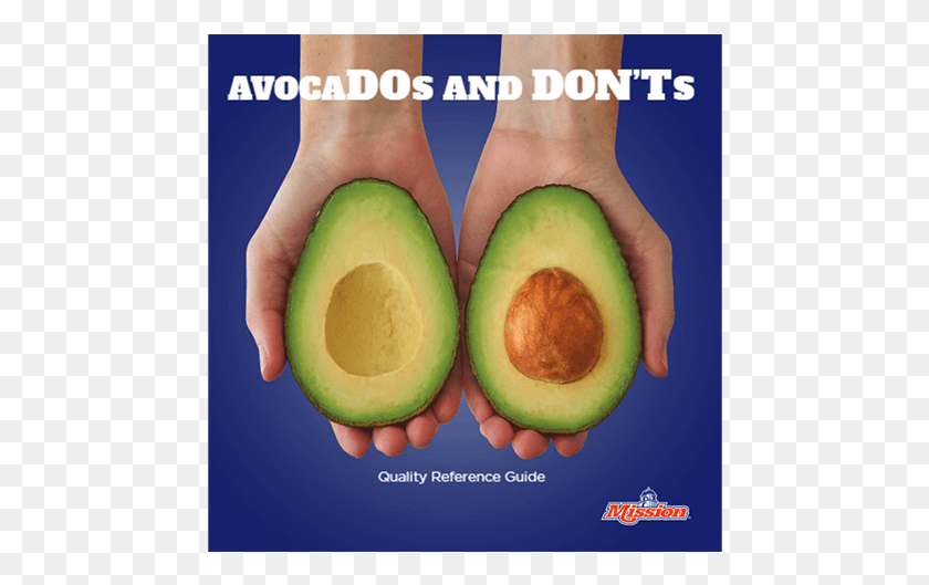 466x469 Mission Avocado Guide Aids Retailers Foodservice Operators Avocado, Plant, Fruit, Food HD PNG Download