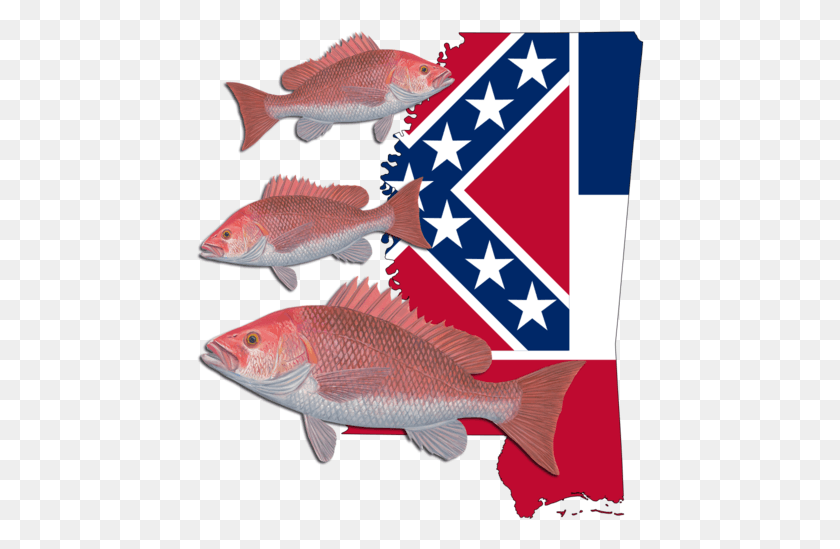 449x489 Mississippi Flag Tattoo, Fish, Animal, Mullet Fish HD PNG Download