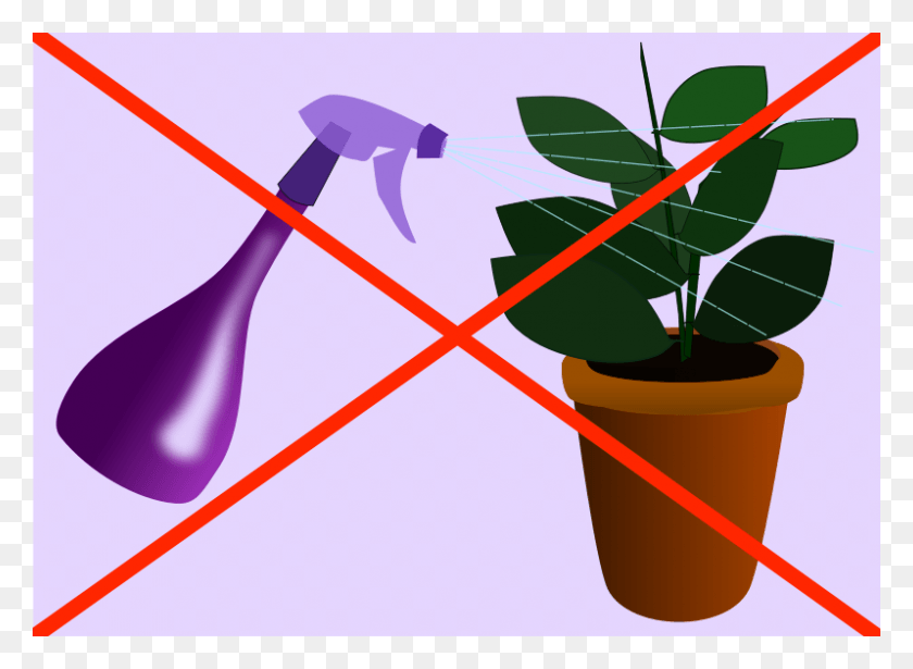 798x568 Misting Your Houseplants Is A Waste Of Time Brumisateur Plantes D Intrieur, Dynamite, Bomb, Weapon HD PNG Download