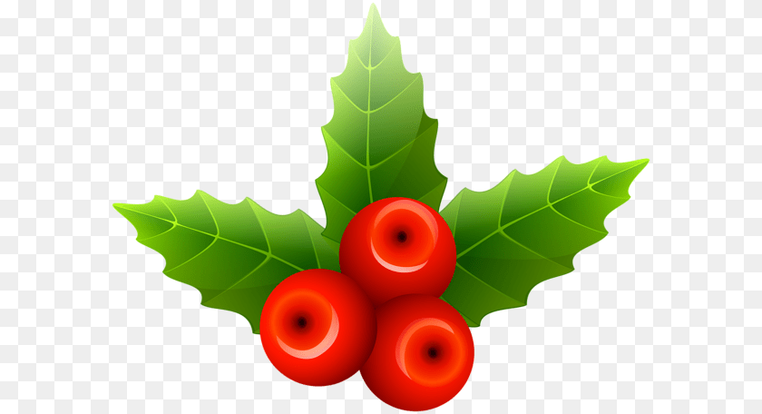 Mistletoe Clip Art, Leaf, Plant, Food, Fruit PNG