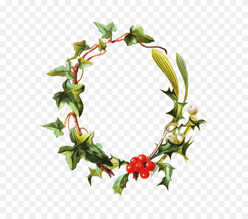 571x681 Mistletoe Clipart Frame Clip Art, Plant, Wreath, Green HD PNG Download