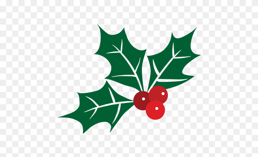 512x512 Mistletoe Icon, Leaf, Plant, Food, Fruit PNG