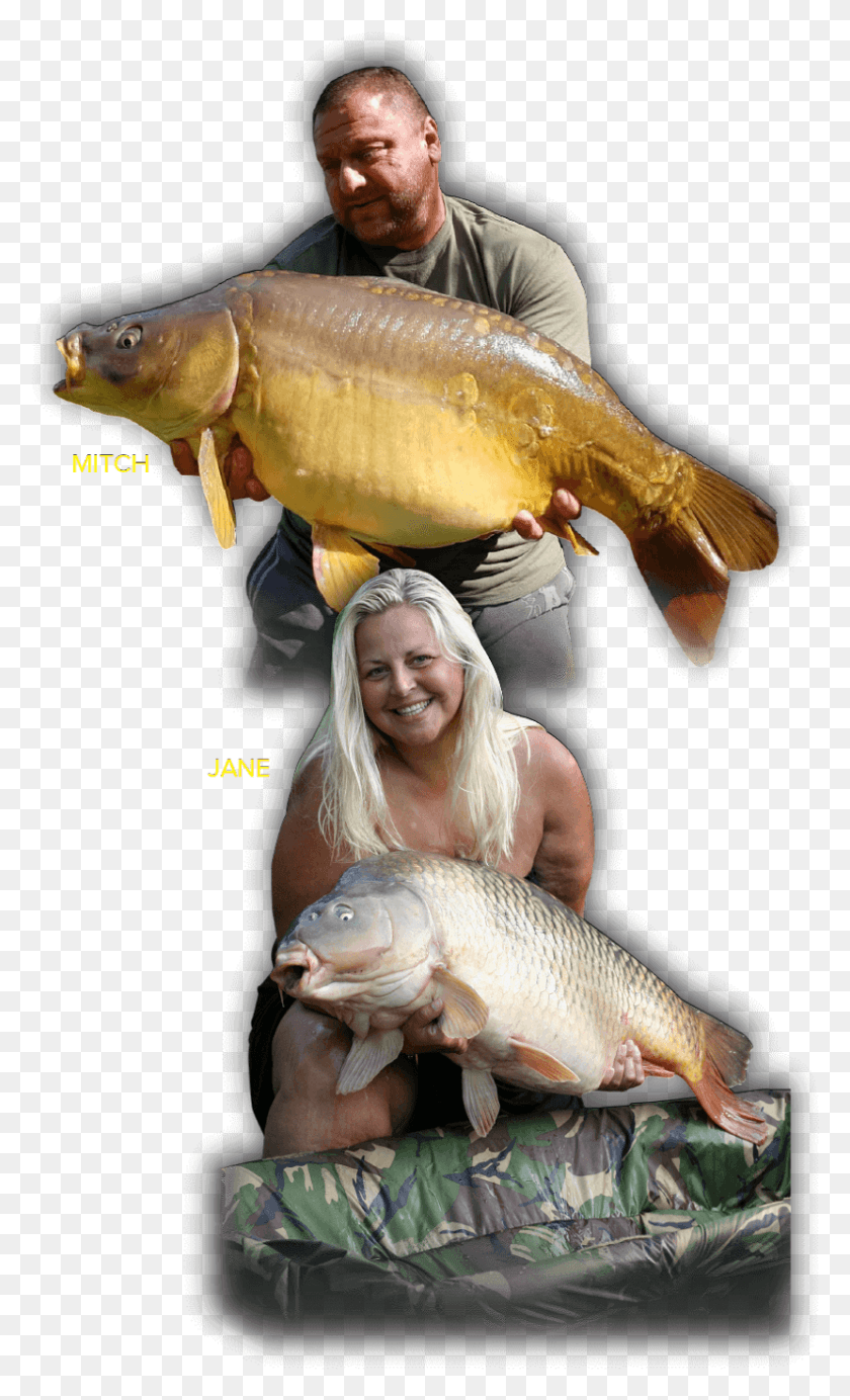 830x1409 Mitch And Jane Carp, Fish, Animal, Person HD PNG Download