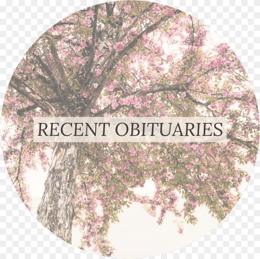 859x858 Mitchell Funeral Homes Circle, Photography, Flower, Plant, Cherry Blossom Sticker PNG