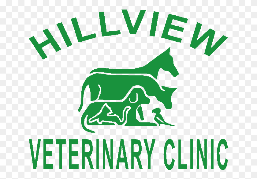 651x524 Логотип Ветеринарной Клиники Смешанных Животных, Зеленый, Текст, Доска Hd Png Скачать