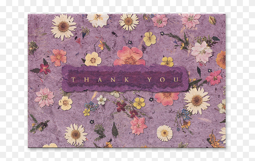 669x470 Mixed Wildflower Thank You Cards Gerbera, Rug, Flower, Plant HD PNG Download