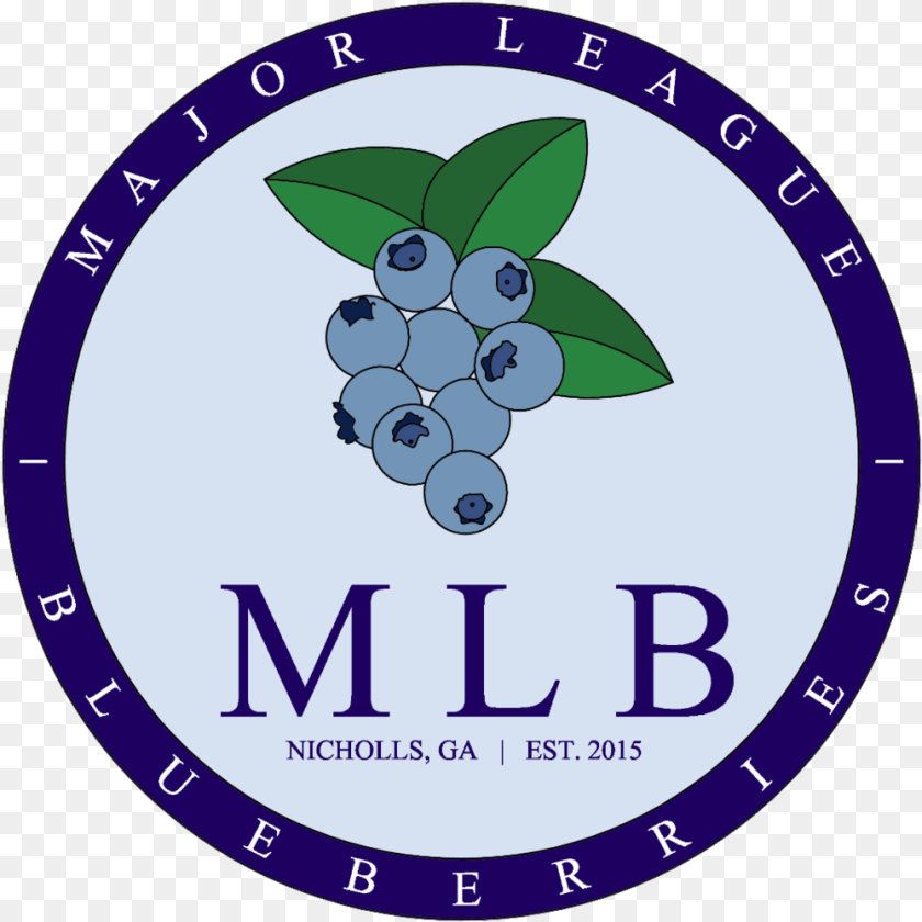 Mlb Blues Logo, Berry, Blueberry, Food, Fruit PNG