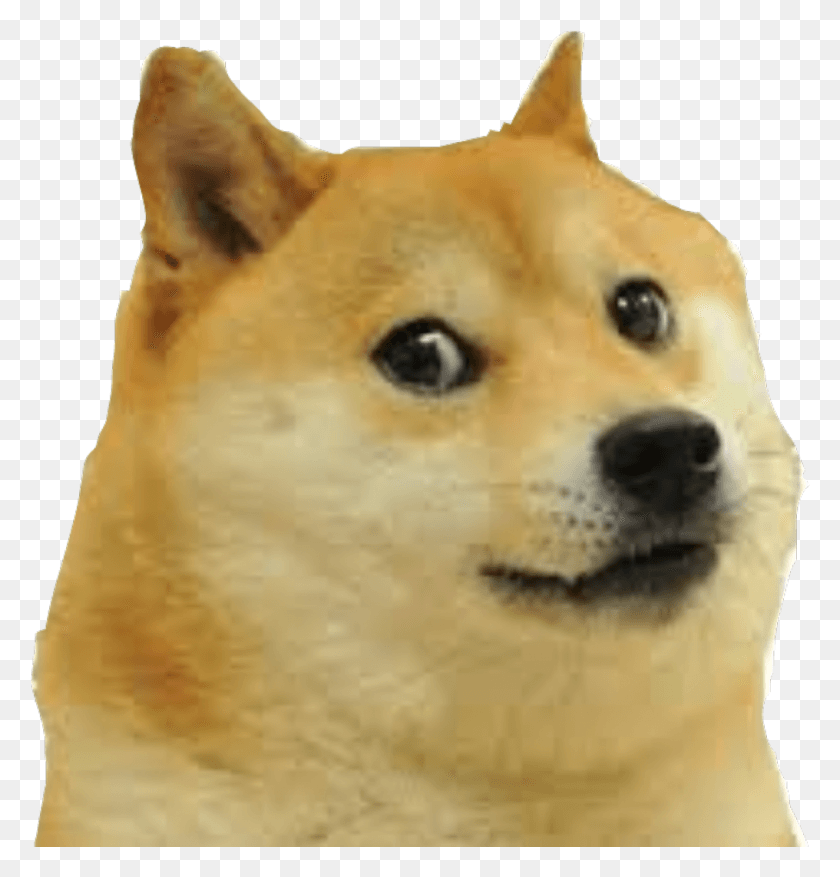 1016x1065 Mlg Doge Meme Dog Face, Pet, Animal, Canine HD PNG Download