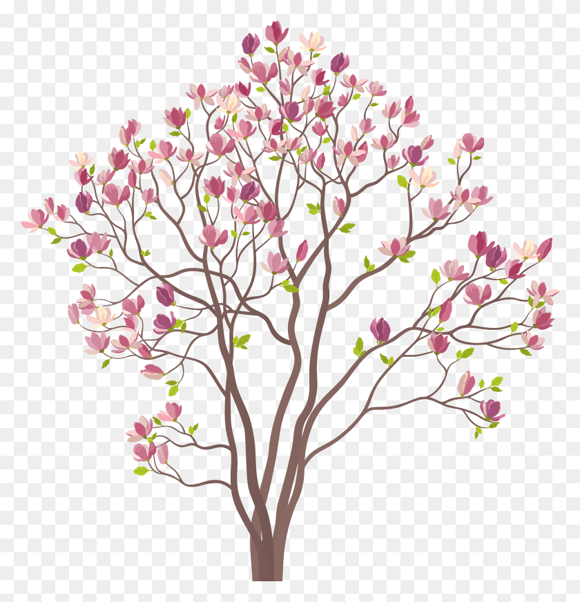 7599x7913 Mmagnolia Tree Clip Art Image, Plant, Cherry Blossom, Flower HD PNG Download