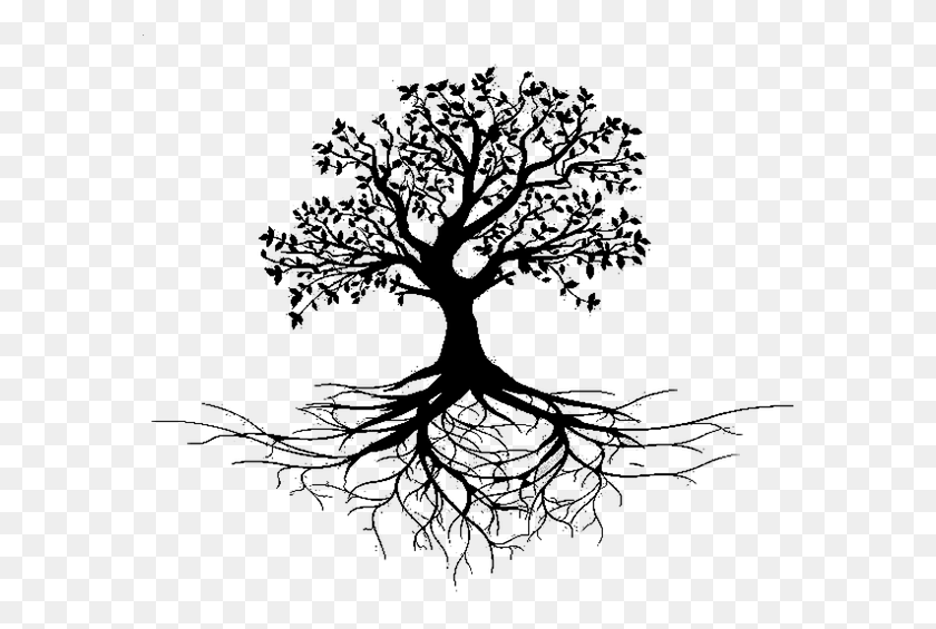 586x505 Mmmp Certifications In Coldwater Clip Art Tree With Roots Black And White, Gray, World Of Warcraft HD PNG Download