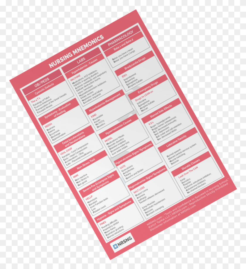903x995 Mnemonics Can Help You Recall And Retain The Most Important Brochure, Text, Advertisement HD PNG Download
