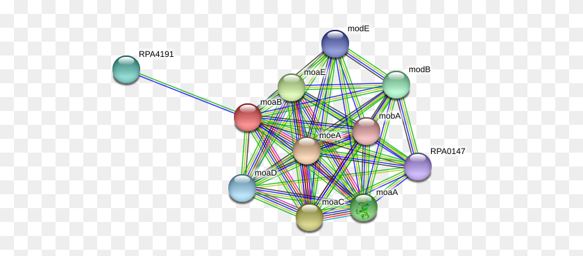 521x309 Moab Protein Circle, Balloon, Ball, Network HD PNG Download