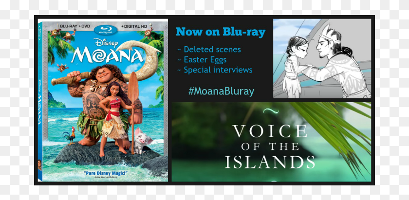 701x351 Moana On Bluray Songkran, Person, Human, Poster HD PNG Download