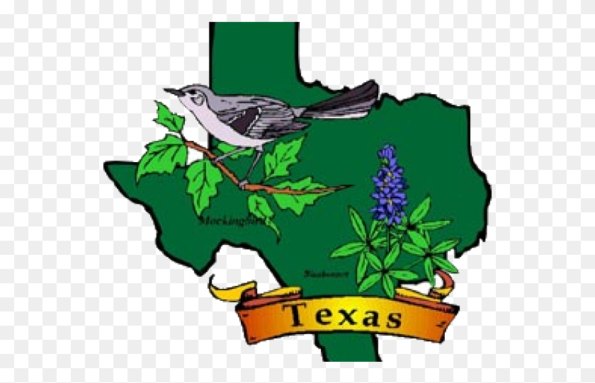 551x481 Mockingbird Clipart Texas State Bird Map Of Texas With State Bird And Flower, Plant, Leaf, Blossom HD PNG Download