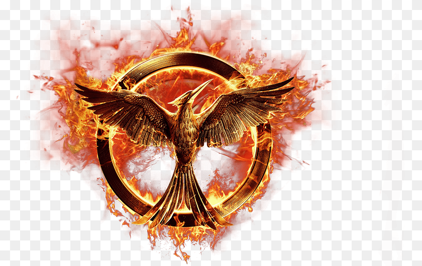 778x531 Mockingjay By Sawart On Same Style In Movie The Hunger Games Necklace With, Bonfire, Fire, Flame, Emblem Clipart PNG