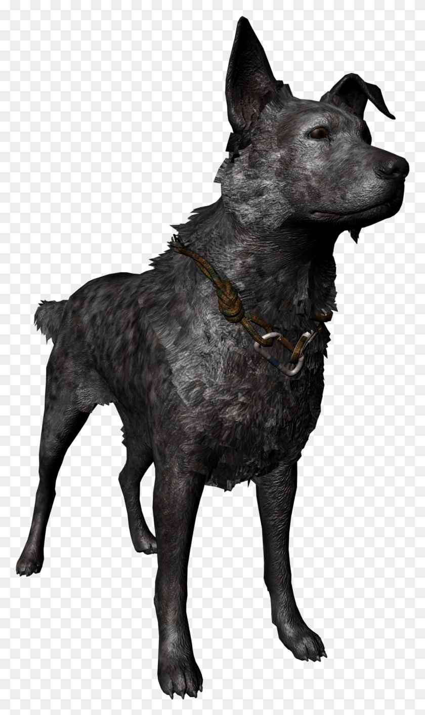 1101x1908 Model Far Cry 5 Boomer Transparent, Canine, Mammal, Animal HD PNG Download