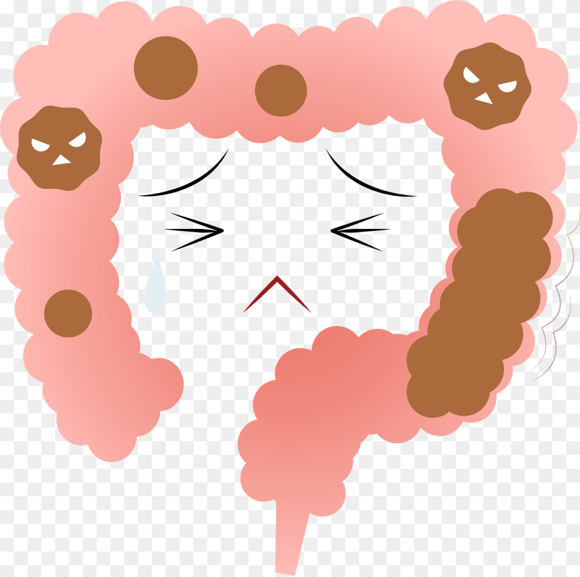 1920x1913 Model Of Large Intestine Suffering From Constipation Clipart, Face, Head, Person Sticker PNG