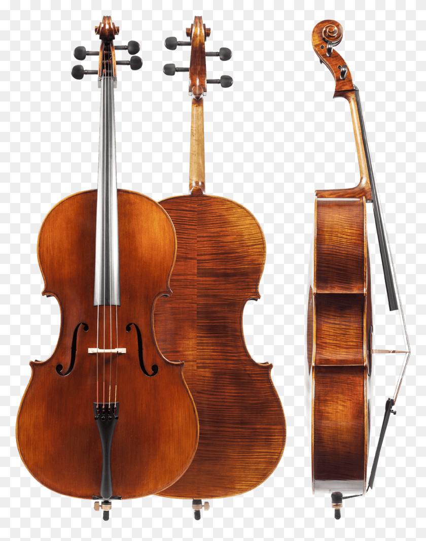 1203x1553 Descargar Png Modelo Sacconi Aaa Cello Cello 4, Instrumento Musical, Actividades De Ocio Hd Png