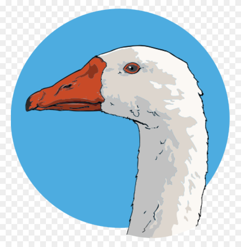 764x800 Modern Clip Art Charlotte39s Web Character Goose, Bird, Animal, Duck HD PNG Download