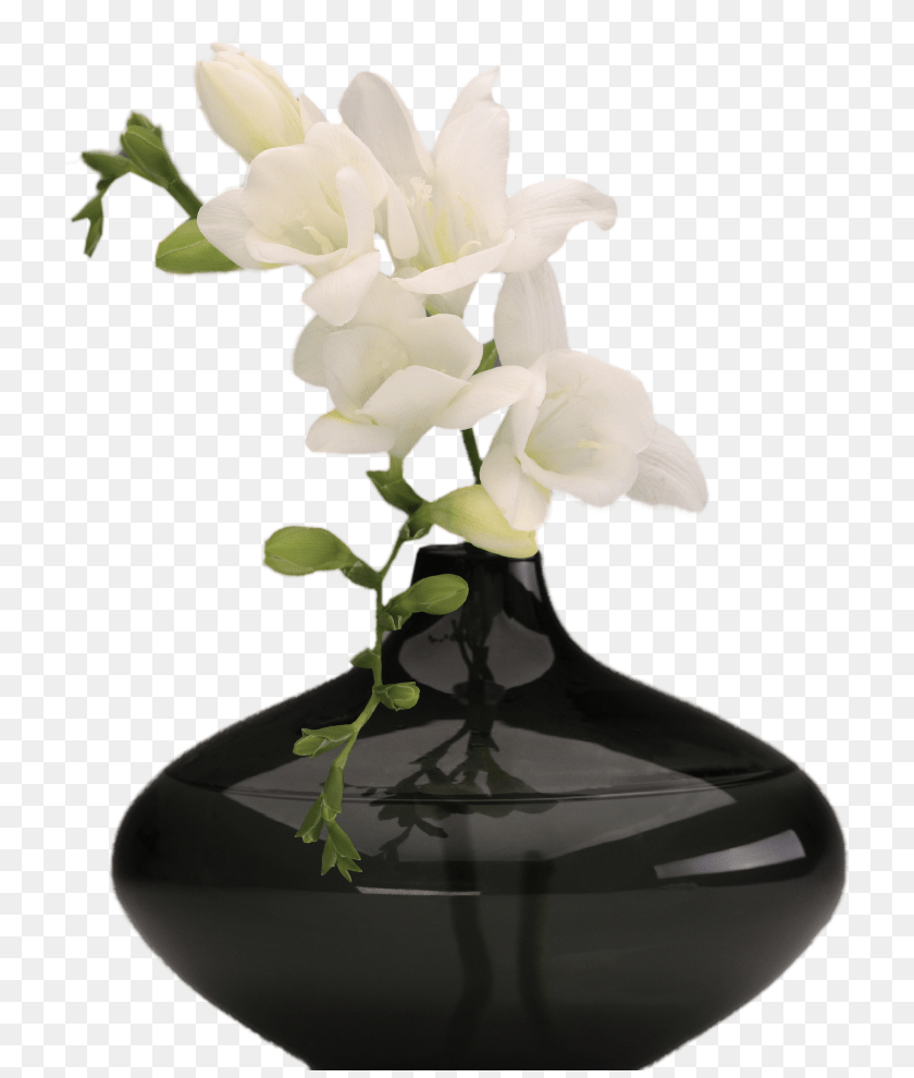 724x990 Modern Flower Vase 3 Vase For Flowers, Flower Arrangement, Flower Bouquet, Jar, Plant PNG