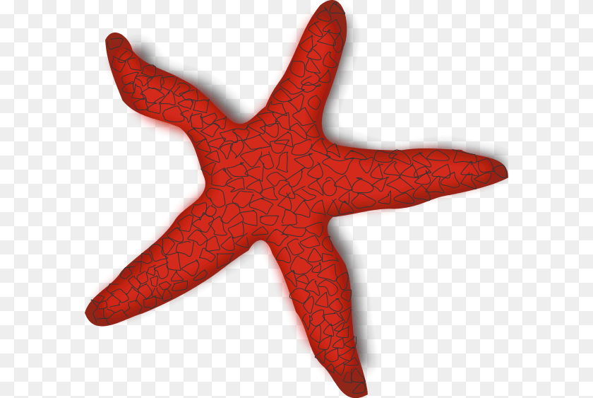 Mohawk Animal, Sea Life, Invertebrate, Starfish Clipart PNG