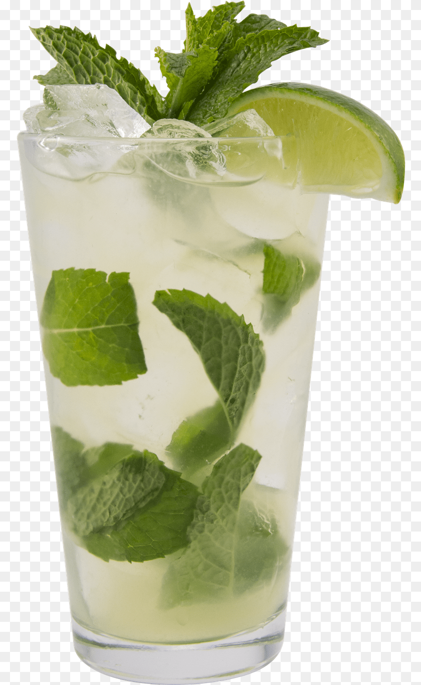 Mojito, Alcohol, Beverage, Cocktail, Herbs PNG