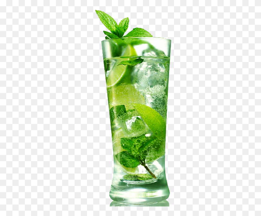 264x637 Mojito Diablo Cocktail Mojito Drink, Alcohol, Beverage, Potted Plant HD PNG Download