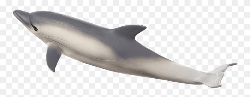 755x268 Обыкновенный Дельфин Mojo Papo Обыкновенный Дельфин, Млекопитающее, Морская Жизнь, Животное Png Скачать