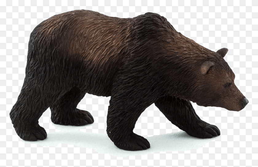 1735x1077 Mojo Grizzly Bear, Pig, Mammal, Animal HD PNG Download