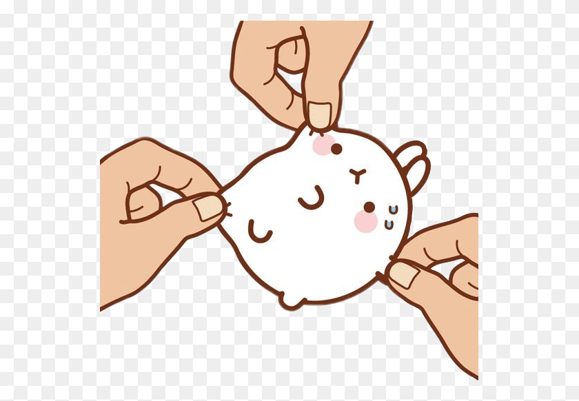 549x522 Molang Sticker, Plant, Food, Hand HD PNG Download