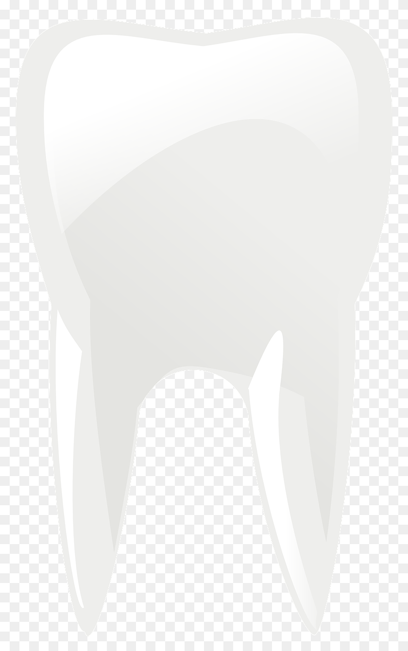 776x1280 Png Изображение - Молярные Зубы, Зубы, Зубы, Стоматология.