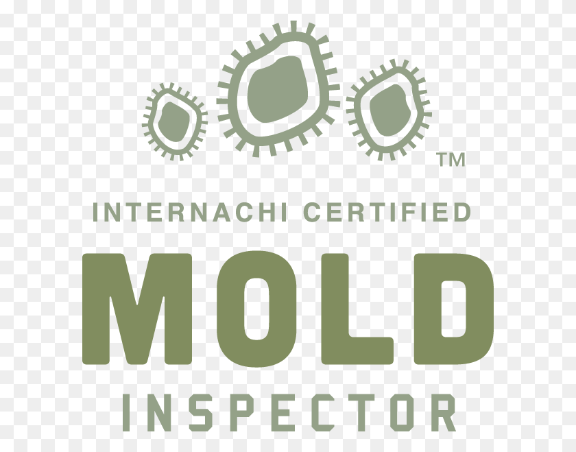 600x599 Descargar Png Inspección Y Pruebas De Moldes Inspector De Moldes Certificado Internachi Logotipo, Texto, Vegetación, Planta Hd Png